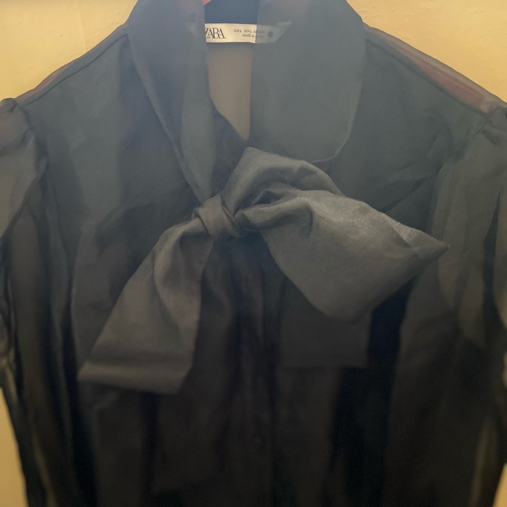 Zara sheer tie blouse